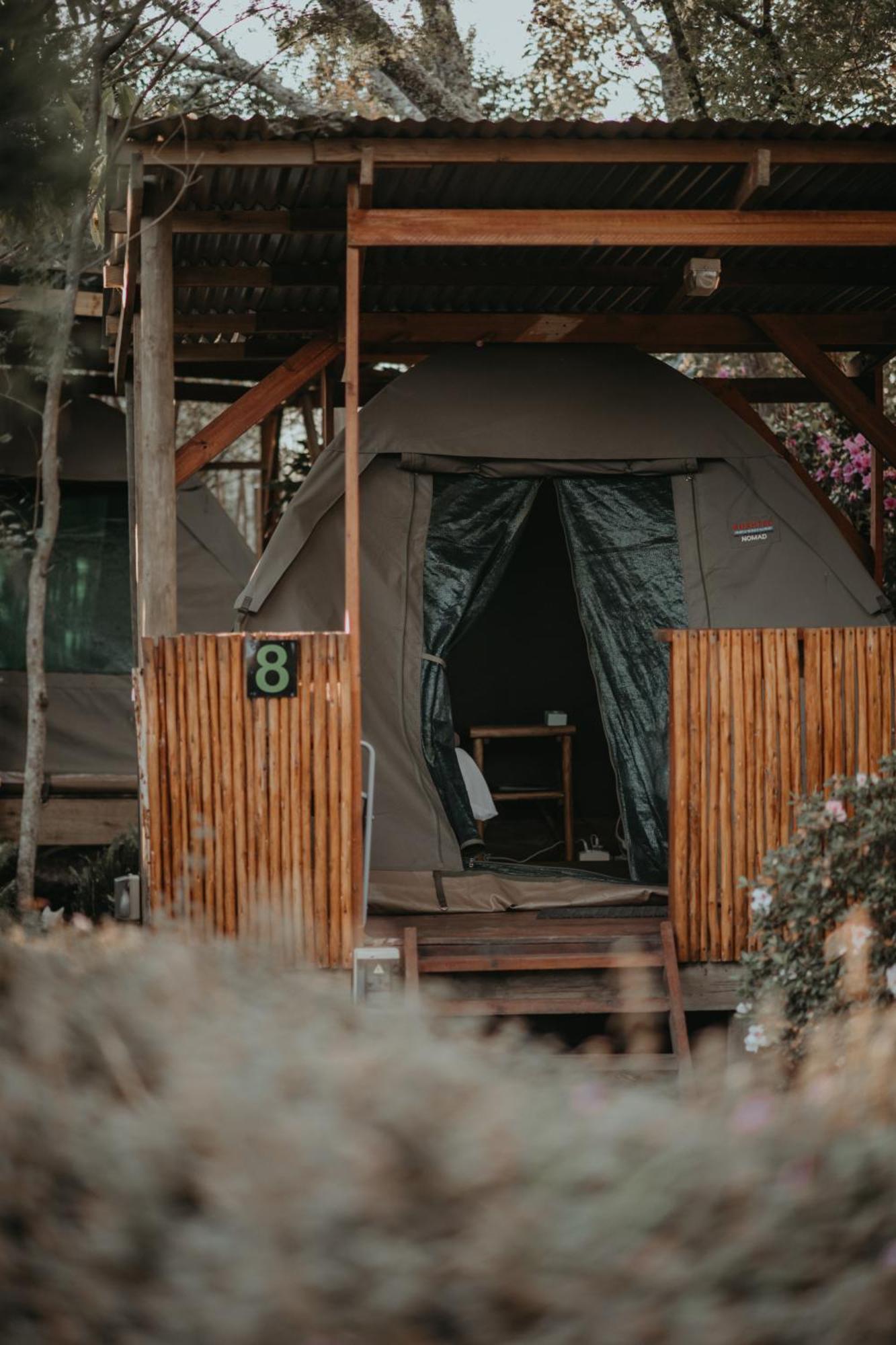 Storms River Forest Lodge ストームス・リバー エクステリア 写真