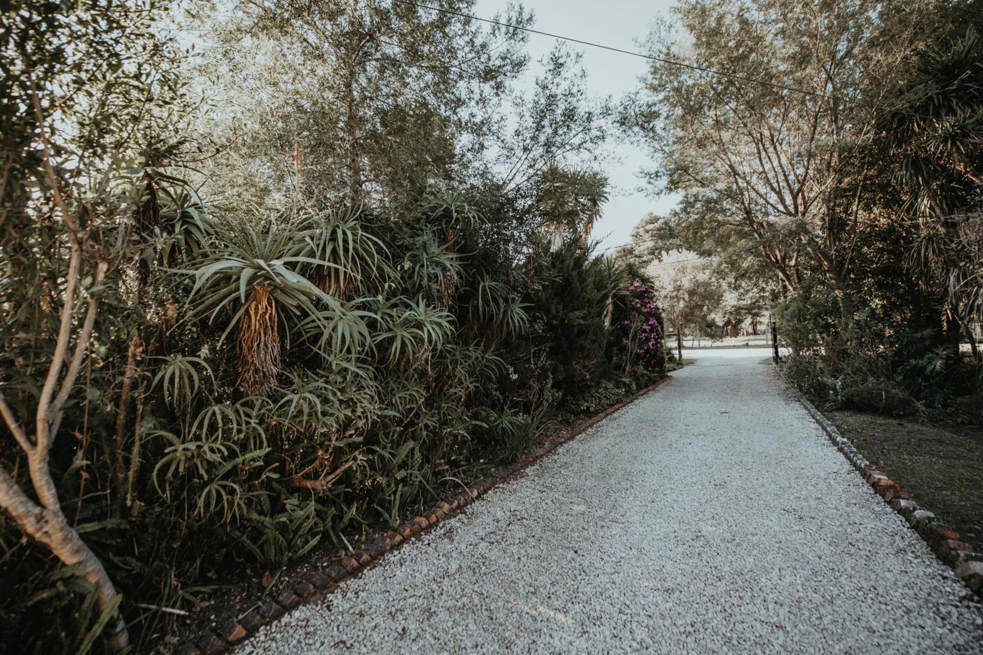 Storms River Forest Lodge ストームス・リバー エクステリア 写真