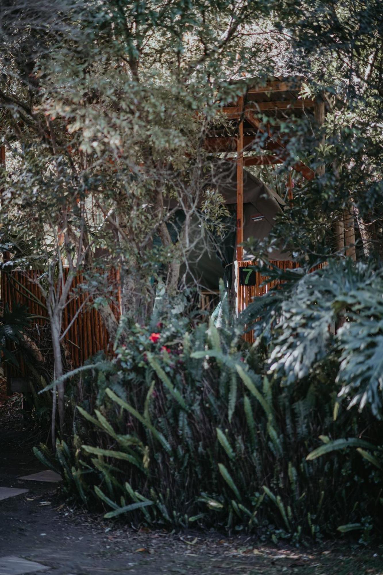 Storms River Forest Lodge ストームス・リバー エクステリア 写真