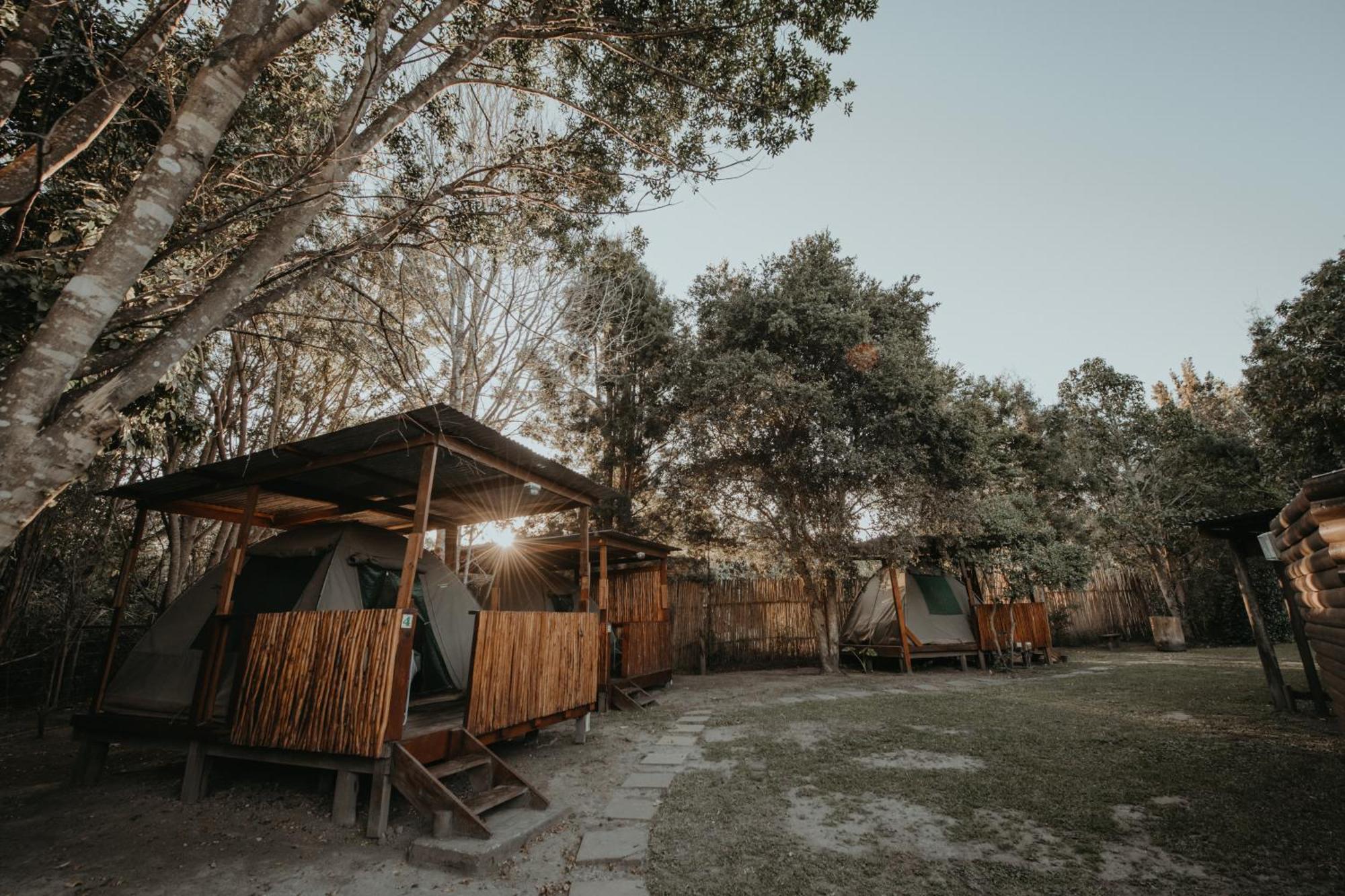 Storms River Forest Lodge ストームス・リバー エクステリア 写真